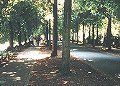 �摜m03-05